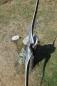 Preview: SpiderBows Langbogen Black Special - 68'', 35# - Rechtshand